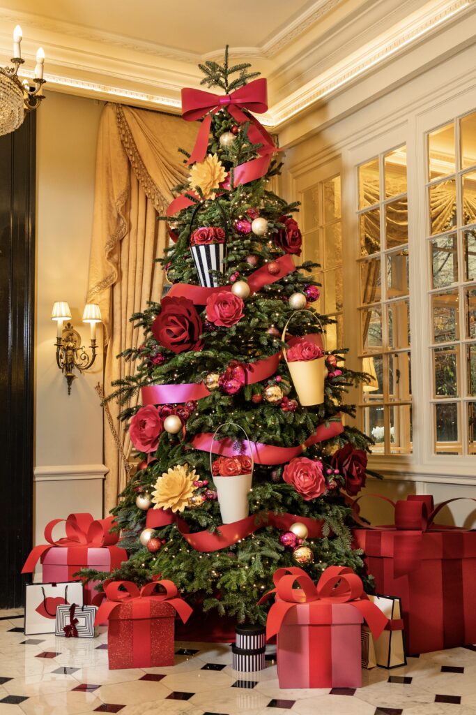 cay thong giang sinh christmas tree