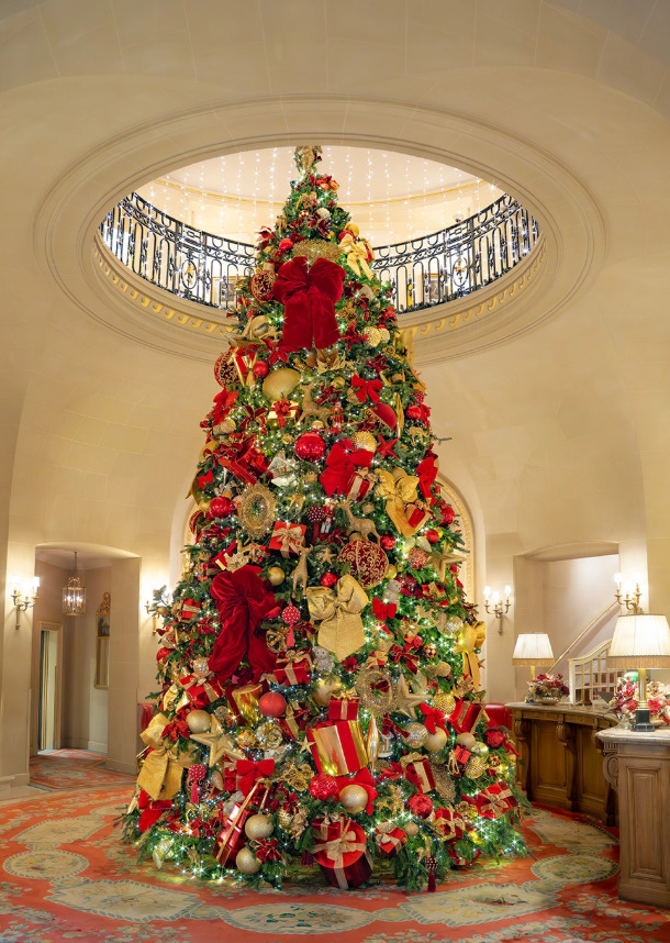 cay thong giang sinh christmas tree