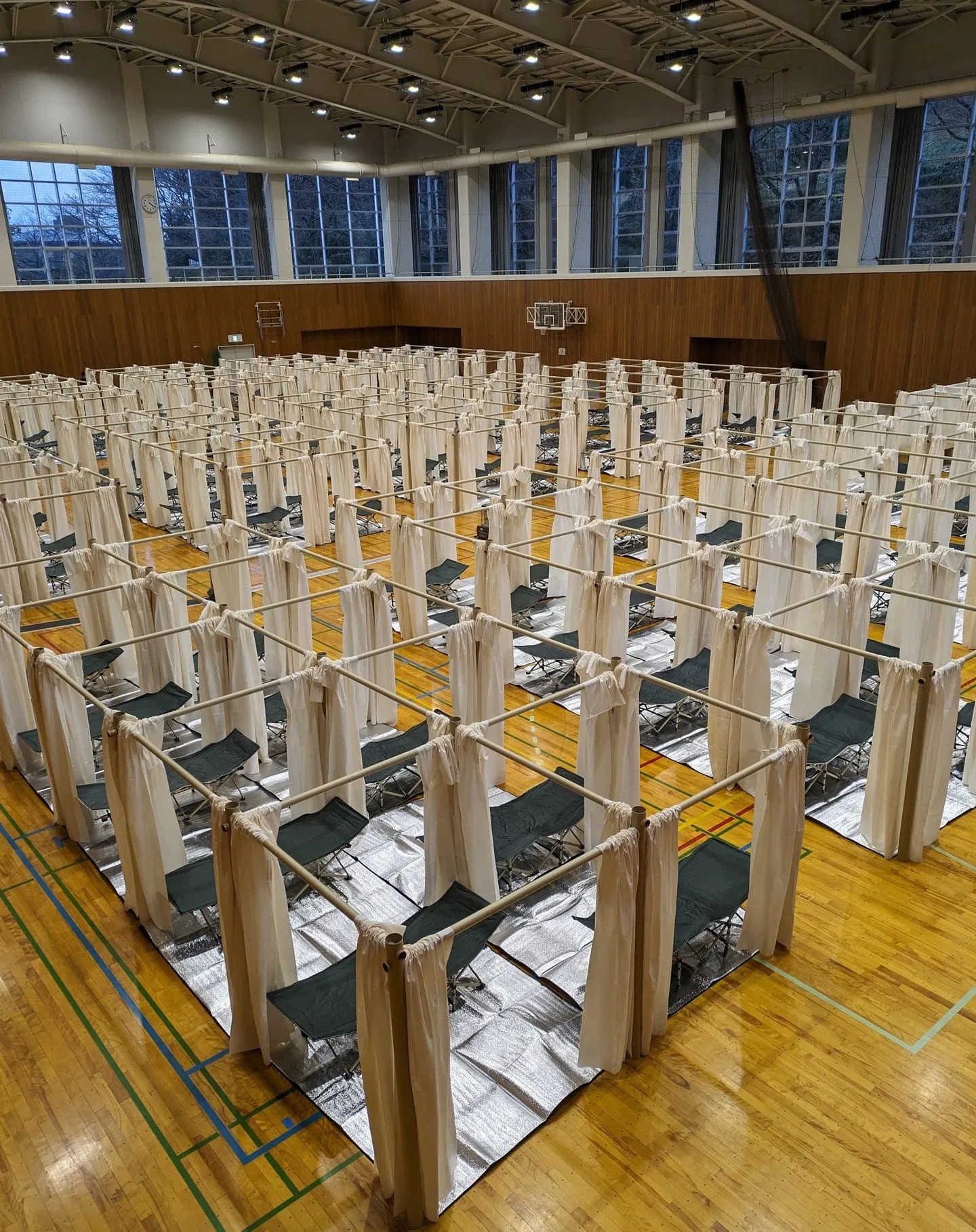 kien truc dong dat Temporary cardboard shelter