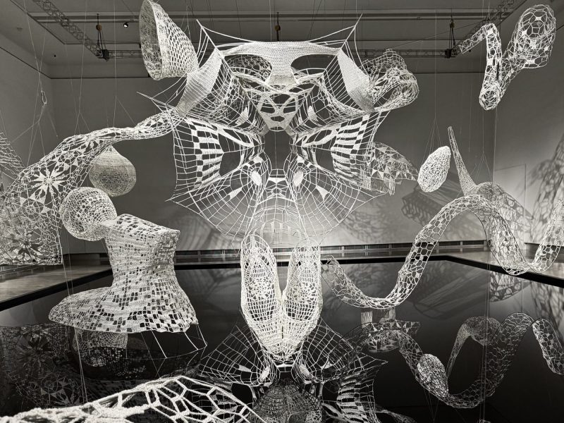 Tác phẩm sắp đặt Distance: Sinh tiếu và ranh giới thực - ảo