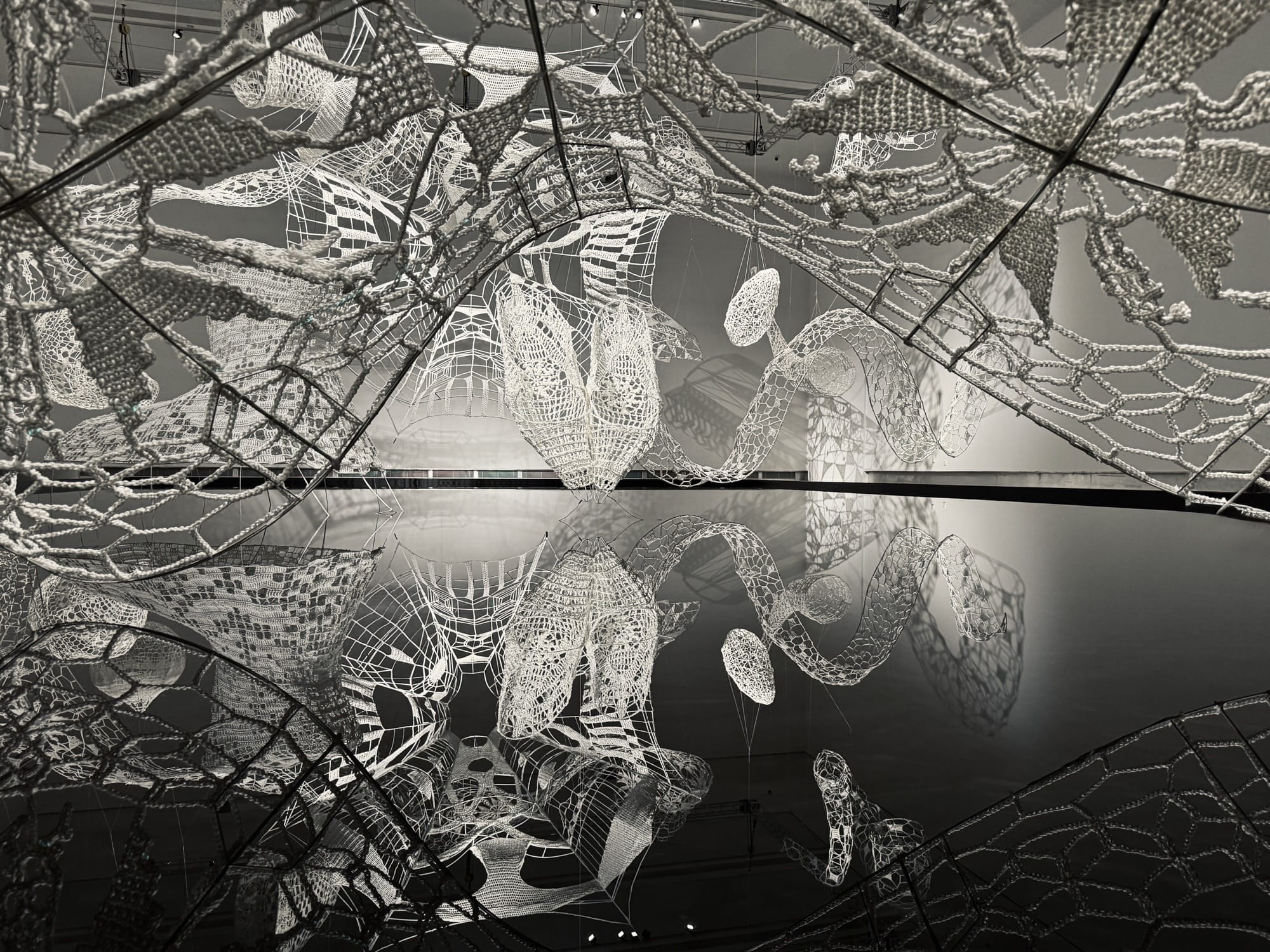 12 con giap tac pham sap dat distance ren choi shine architects