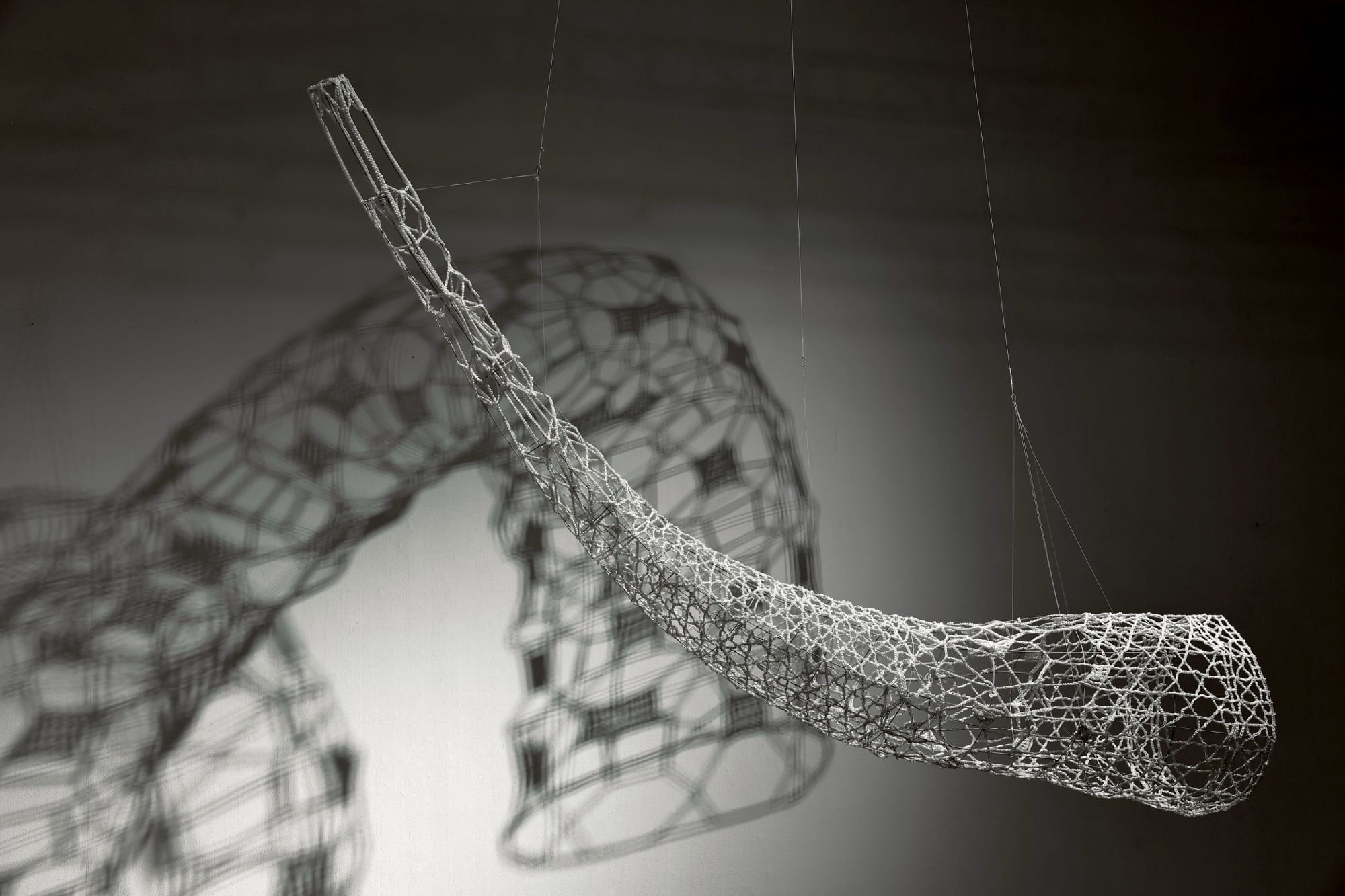 zodiac tac pham sap dat distance ren choi shine architects