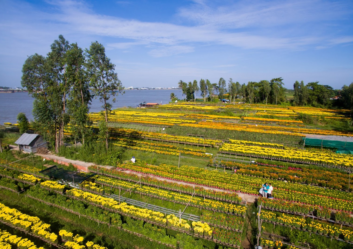 an thanh an giang mien tay trong hoa tet