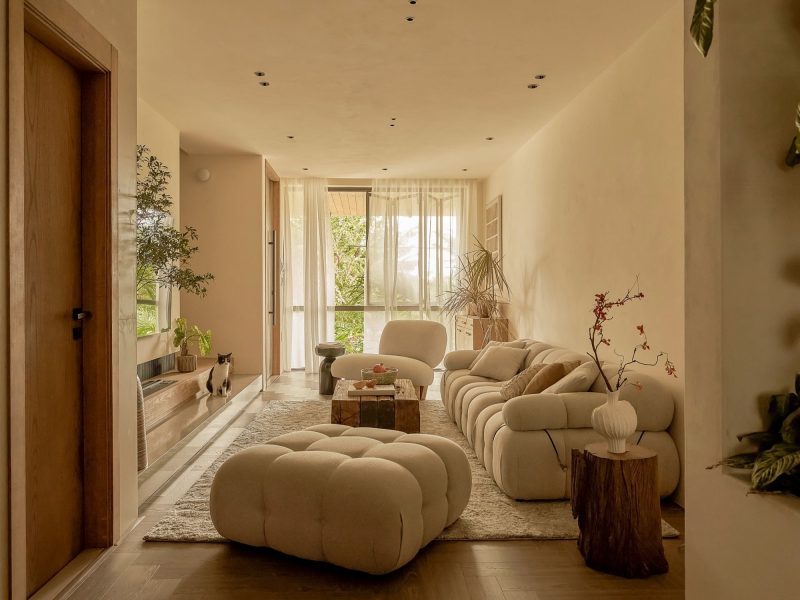 Nhà Bạch Tuộc - Không gian sống đa lớp trong đô thị - TAR.CHITECT