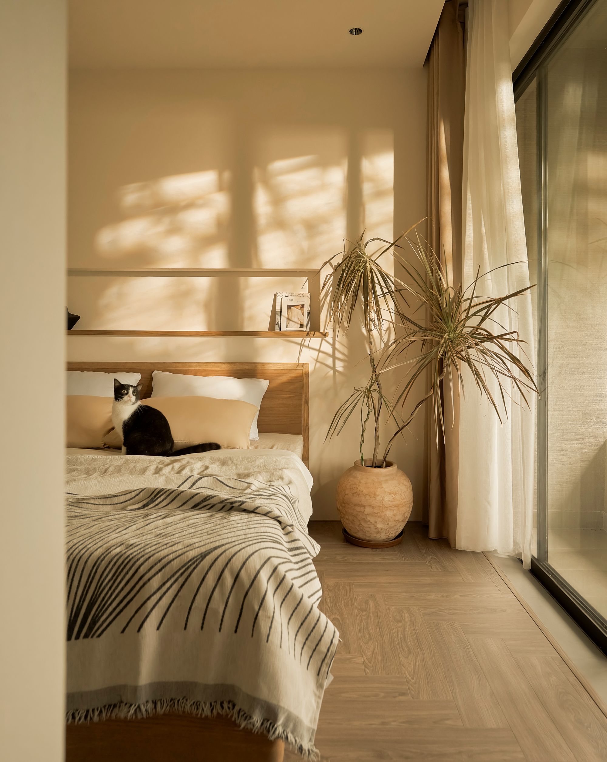 noi that nha pho da nang bach tuoc phong ngu tarchitect thu cung