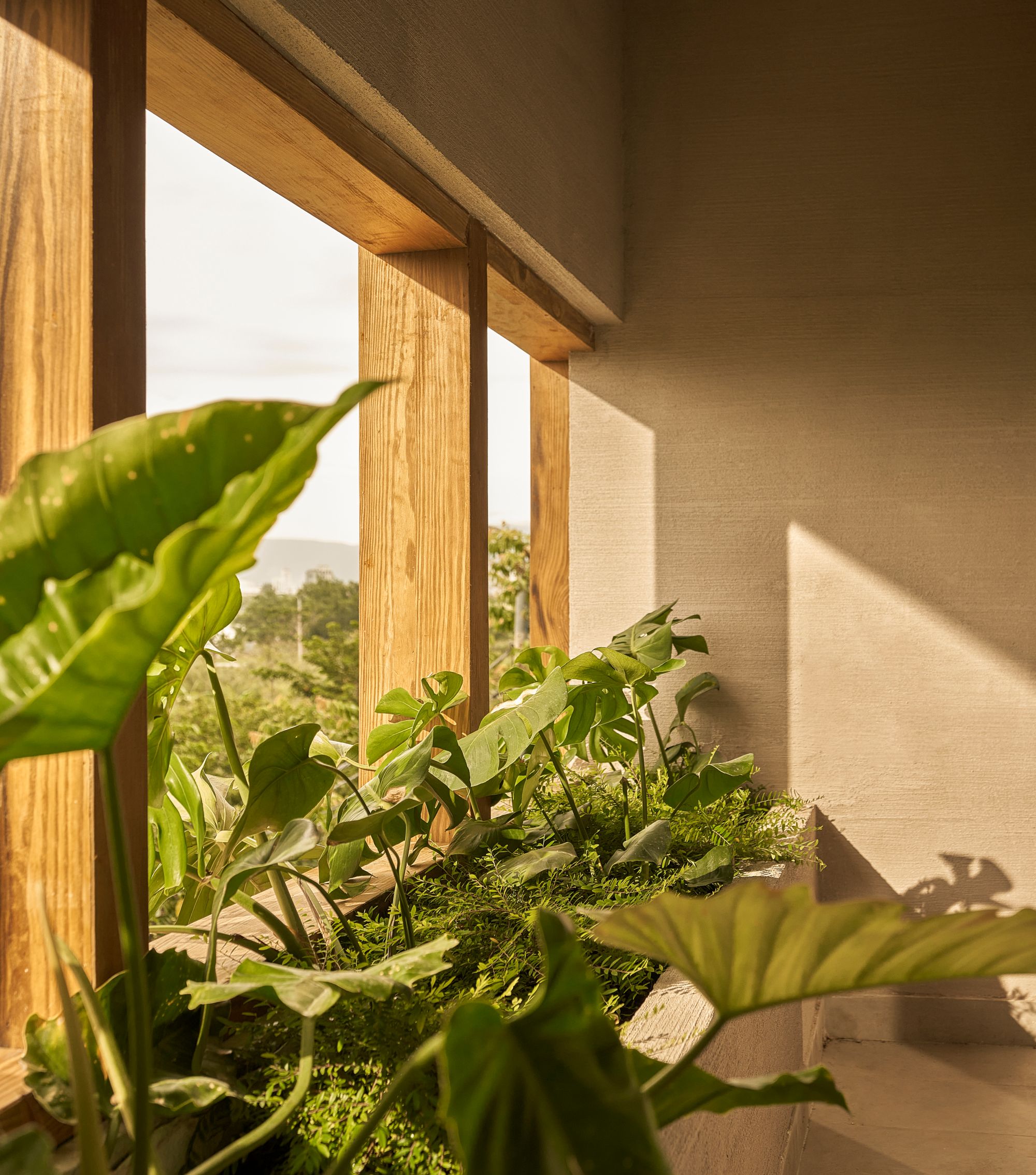 lan can mat tien vuon ban cong nha bach tuoc tarchitect