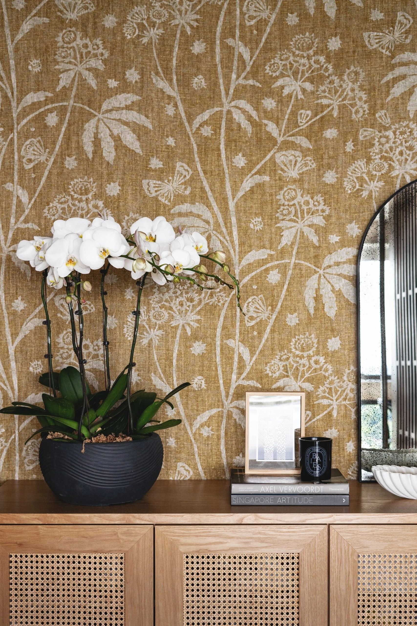 hoa lan cay canh trong nha ho diep