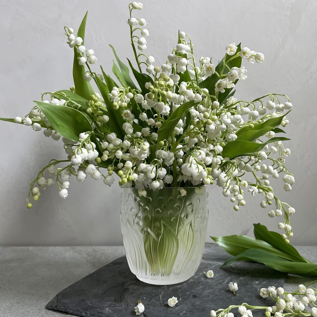 Lily of the Valley Convallaria majalis return to happiness Our Lady’s Tears Victoire de Castellane Christian Dior