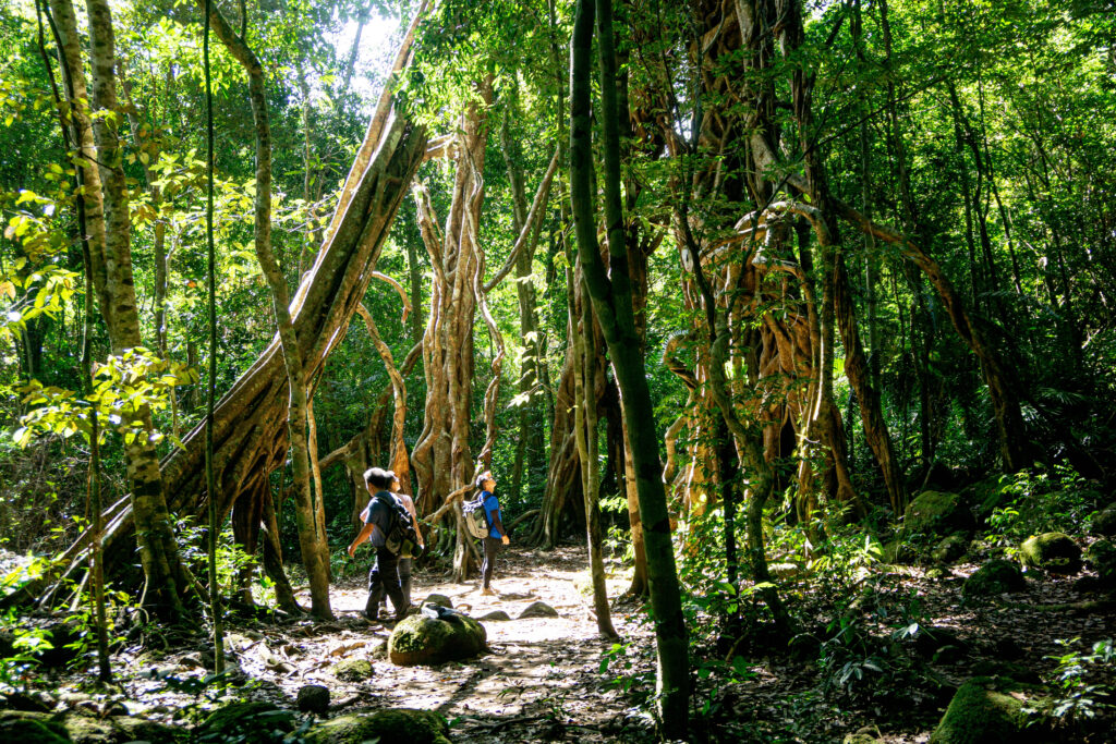 he sinh thai vuon quoc gia cat tien bau sau cong uoc ramsar