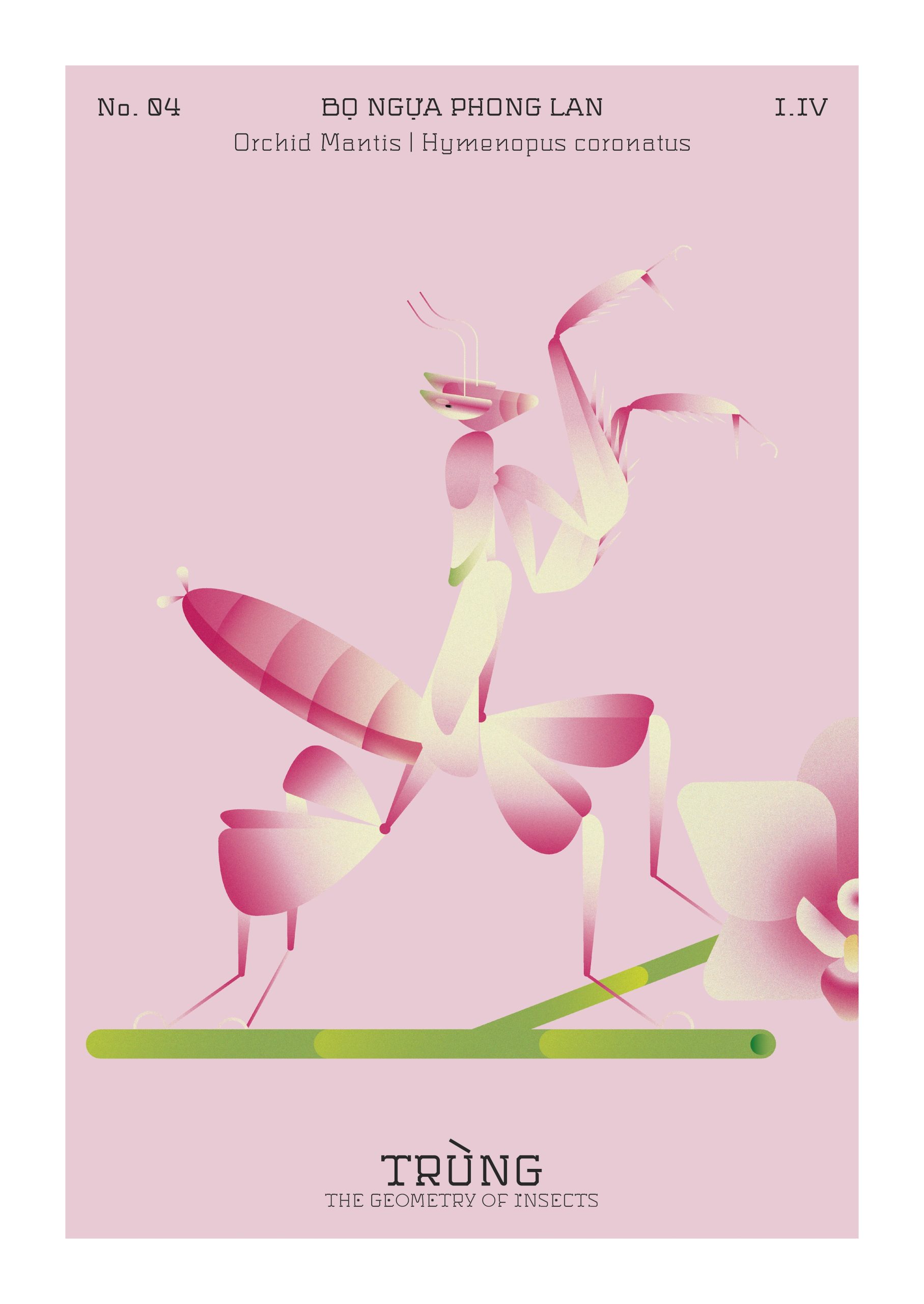 trung the geometry of insects hoa si le trong hoang toong nguyen binh khiem