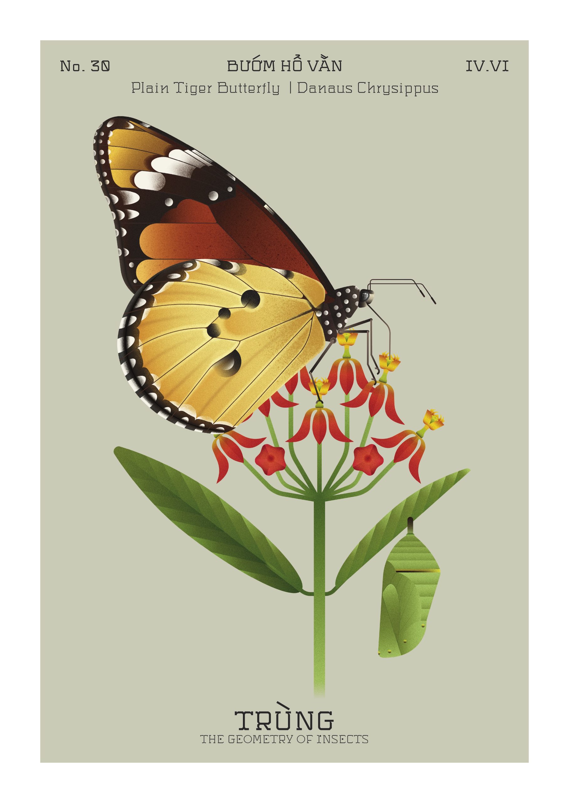 trien lam trung the geometry of insects hoa si le trong hoang toong nguyen binh khiem