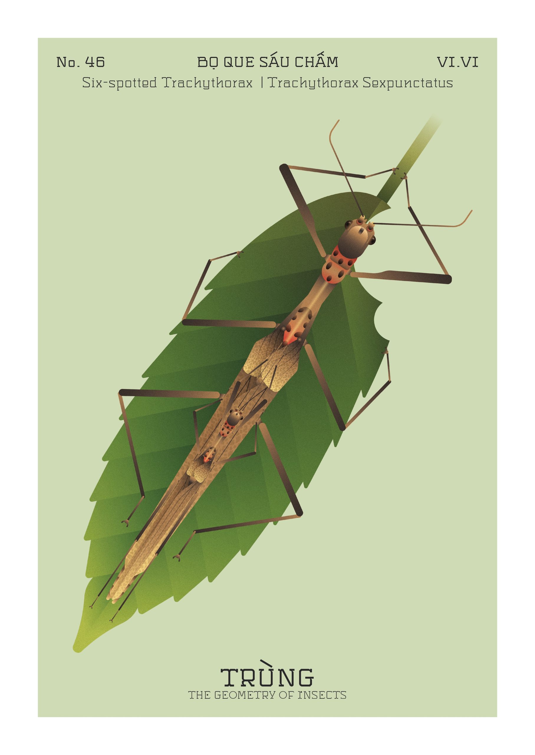 trien lam trung the geometry of insects hoa si le trong hoang toong nguyen binh khiem