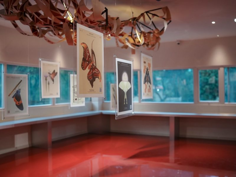 Triển lãm Trùng - The Geometry Of Insects: Giải mã côn trùng qua lăng kính hình học