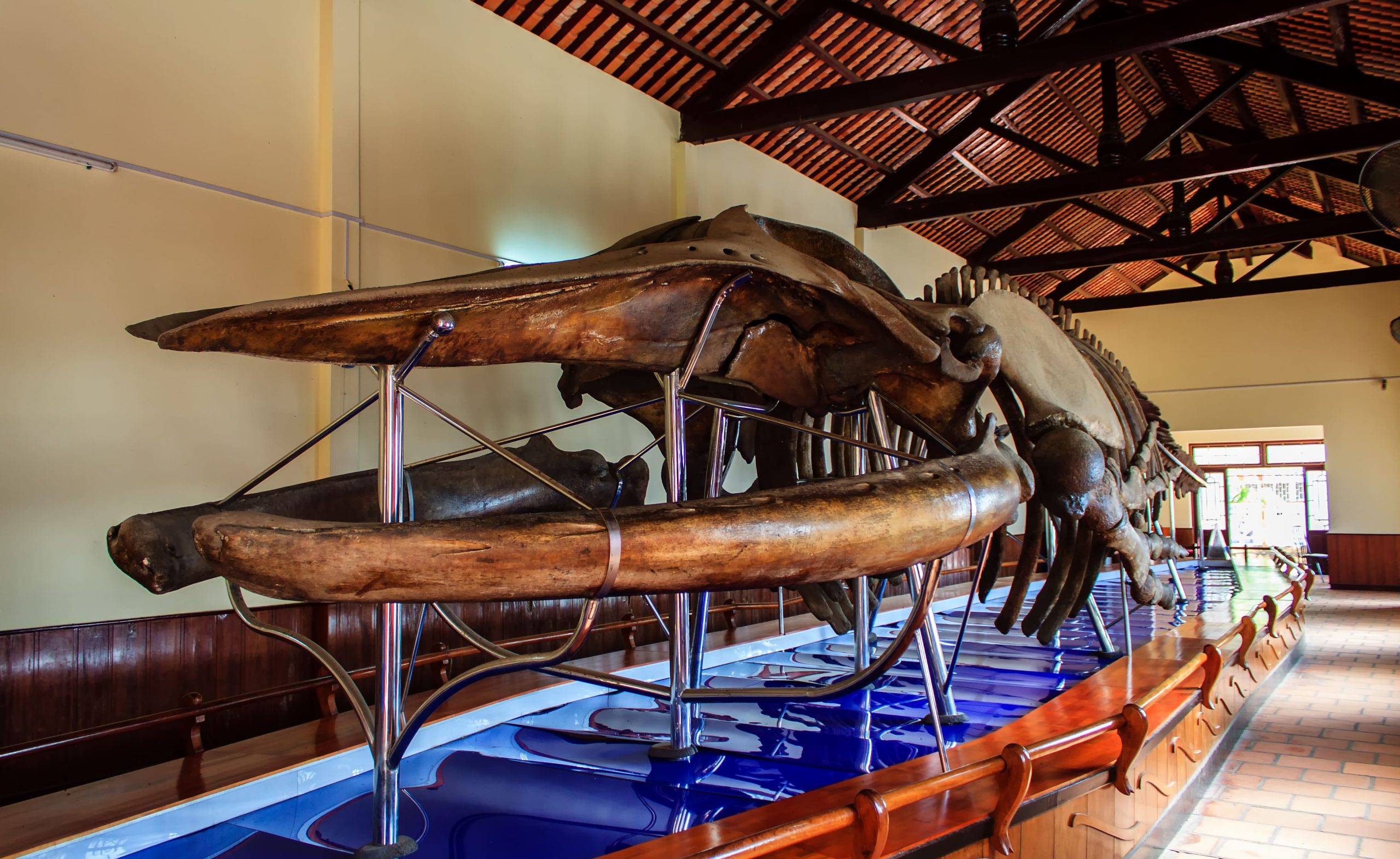 tuc tho ca ong bien dao viet nam nam hai dai tuong quan