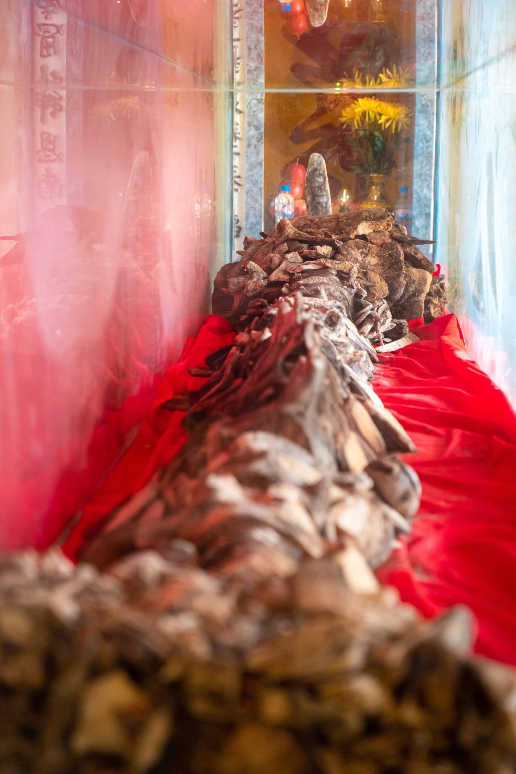 tuc tho ca ong bien dao viet nam nam hai dai tuong quan