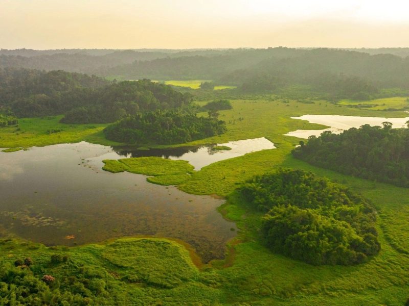 Vườn quốc gia Cát Tiên: Trường ca của rừng già