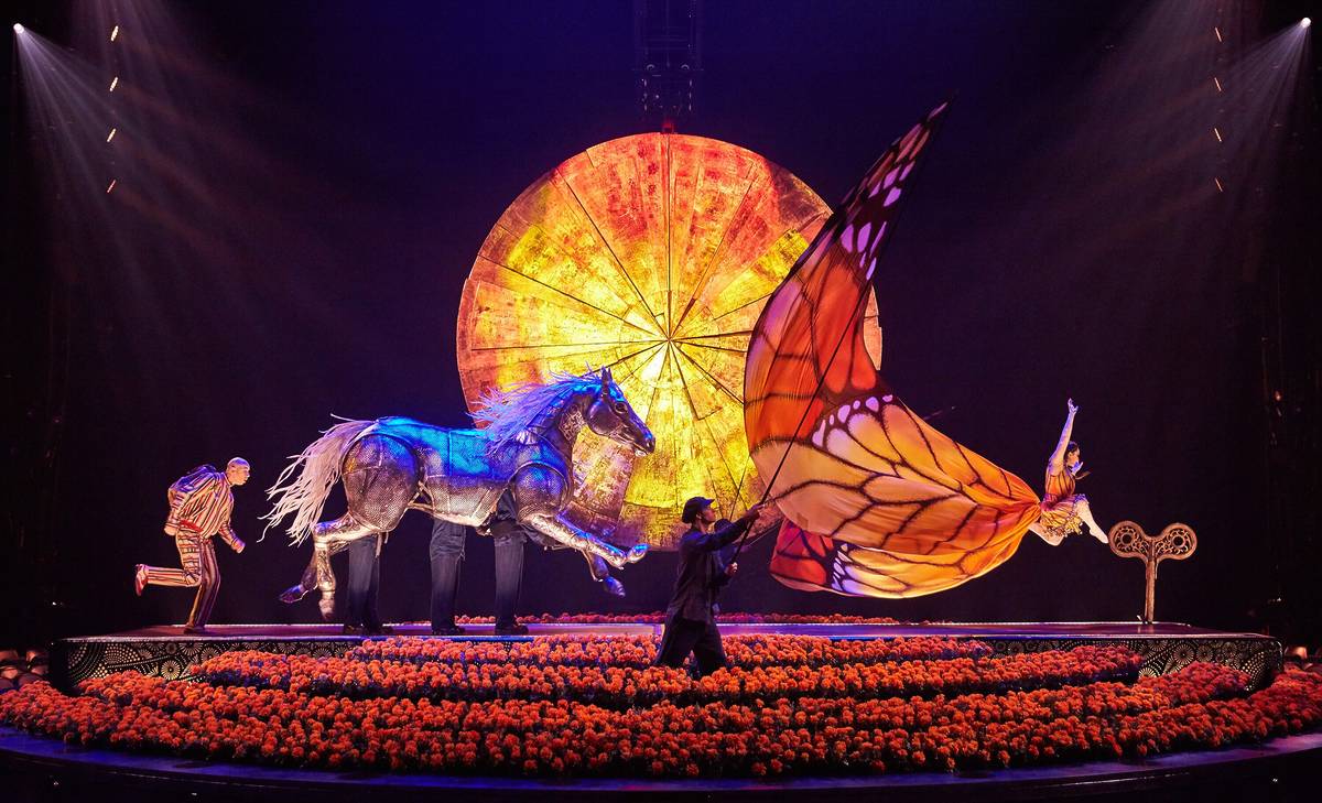 Corteo Luzia Cirque du Soleil Le Rêve The Dream Franco Dragone Traces Les 7 Doigts de la Main Knitting Peace Cirkus Cirkör vung dat ky bi cong vien gia dinh lang toi my village lune production