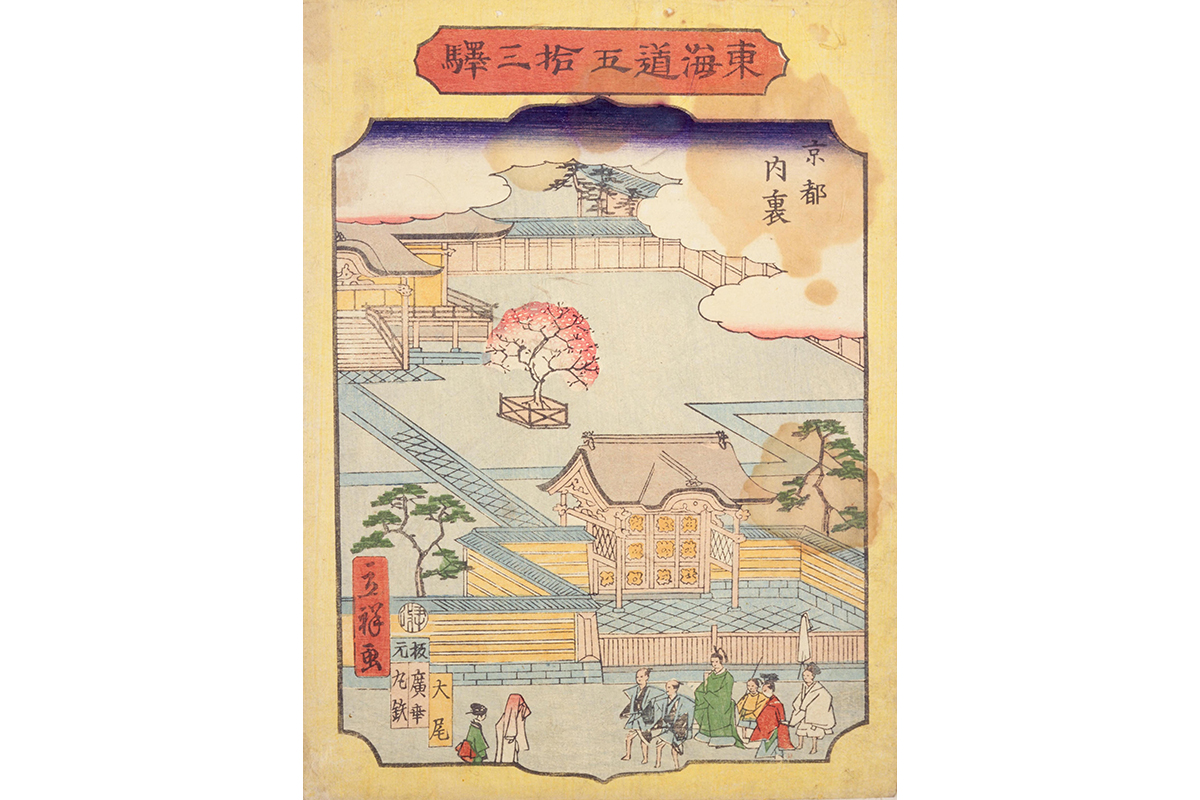 hoa anh dao 桜 Sakura nhat ban