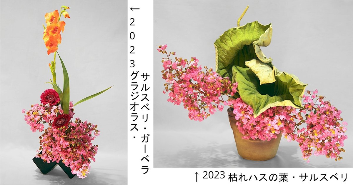 hoa bang lang Lagerstroemia speciosa