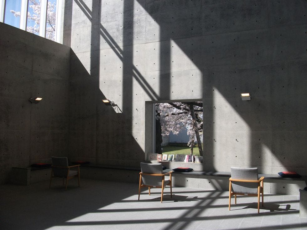 hoa anh dao 桜 Sakura nhat ban