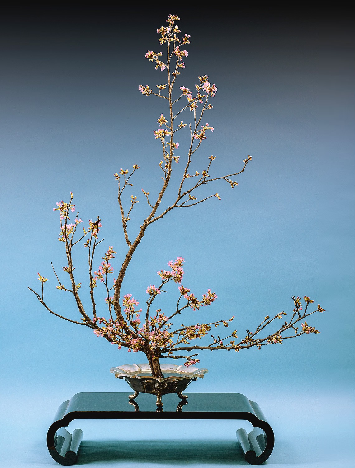 Ikebana Kadouenshu sakura hoa anh dao ikebana