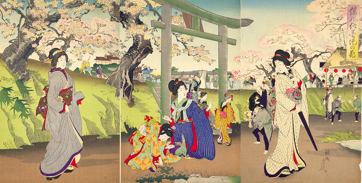 hoa anh dao 桜 Sakura nhat ban