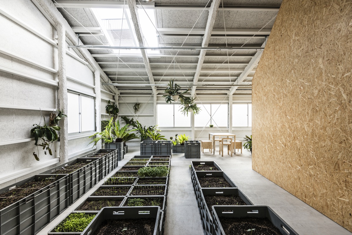 Schemata van phong Hiroko Takahashi tai su dung