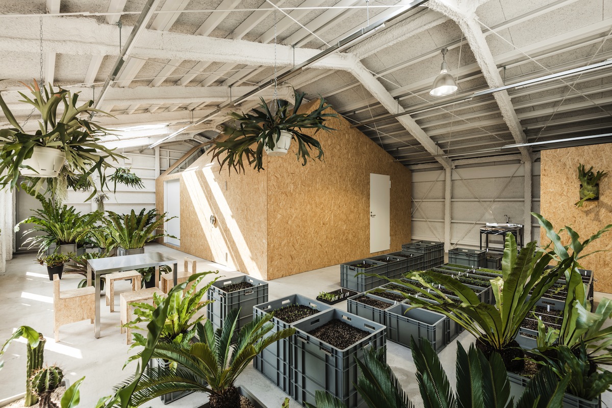 Schemata van phong Hiroko Takahashi tai su dung