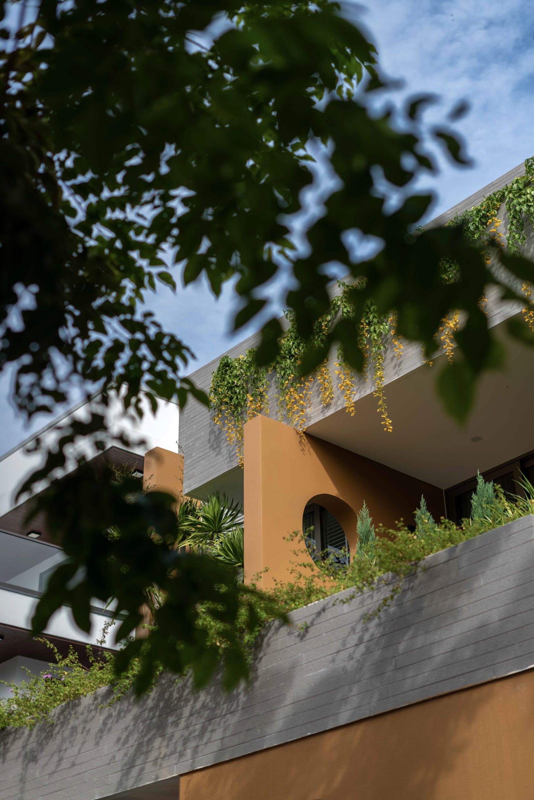 hoa xuan naqi partners