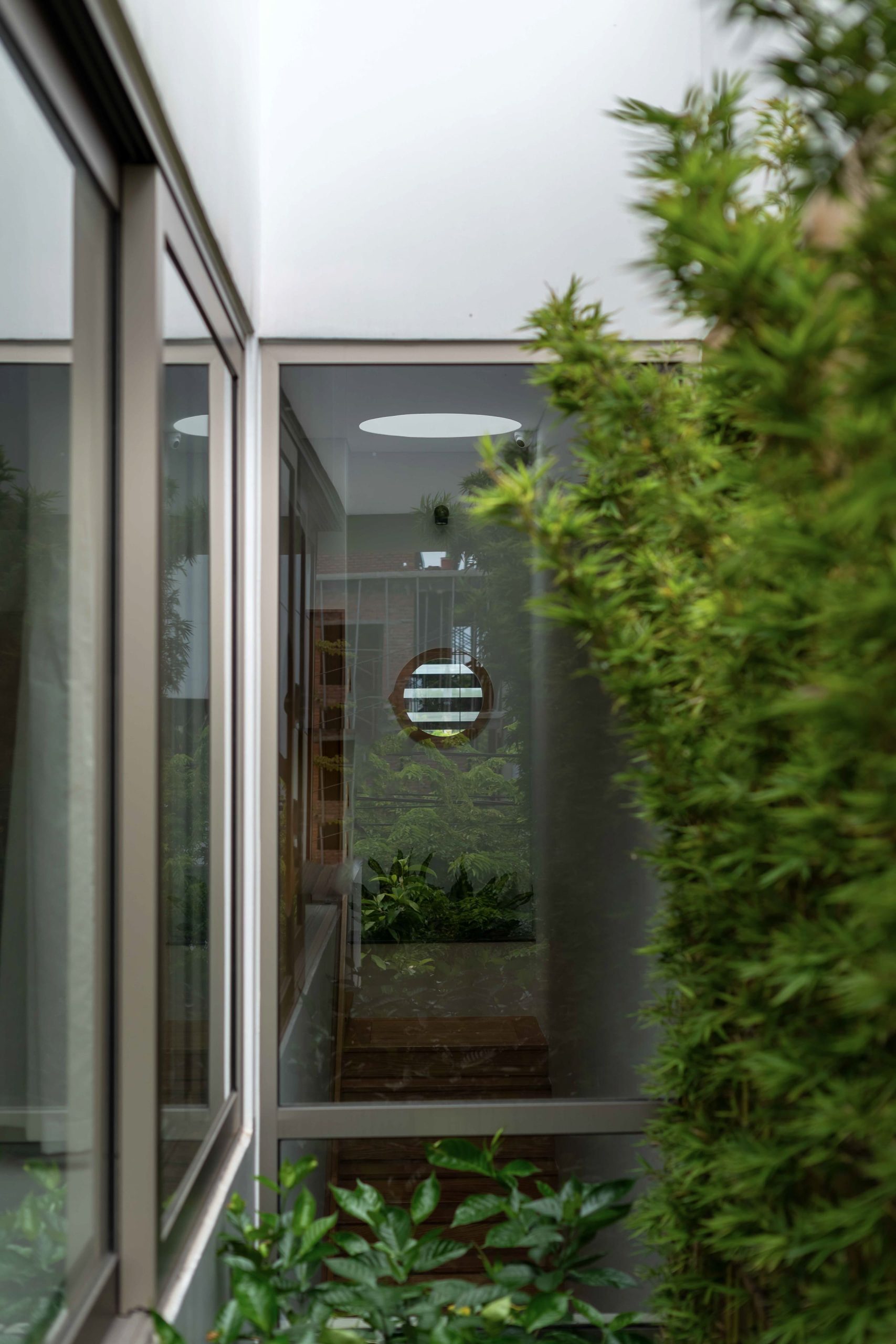 hoa xuan naqi partners