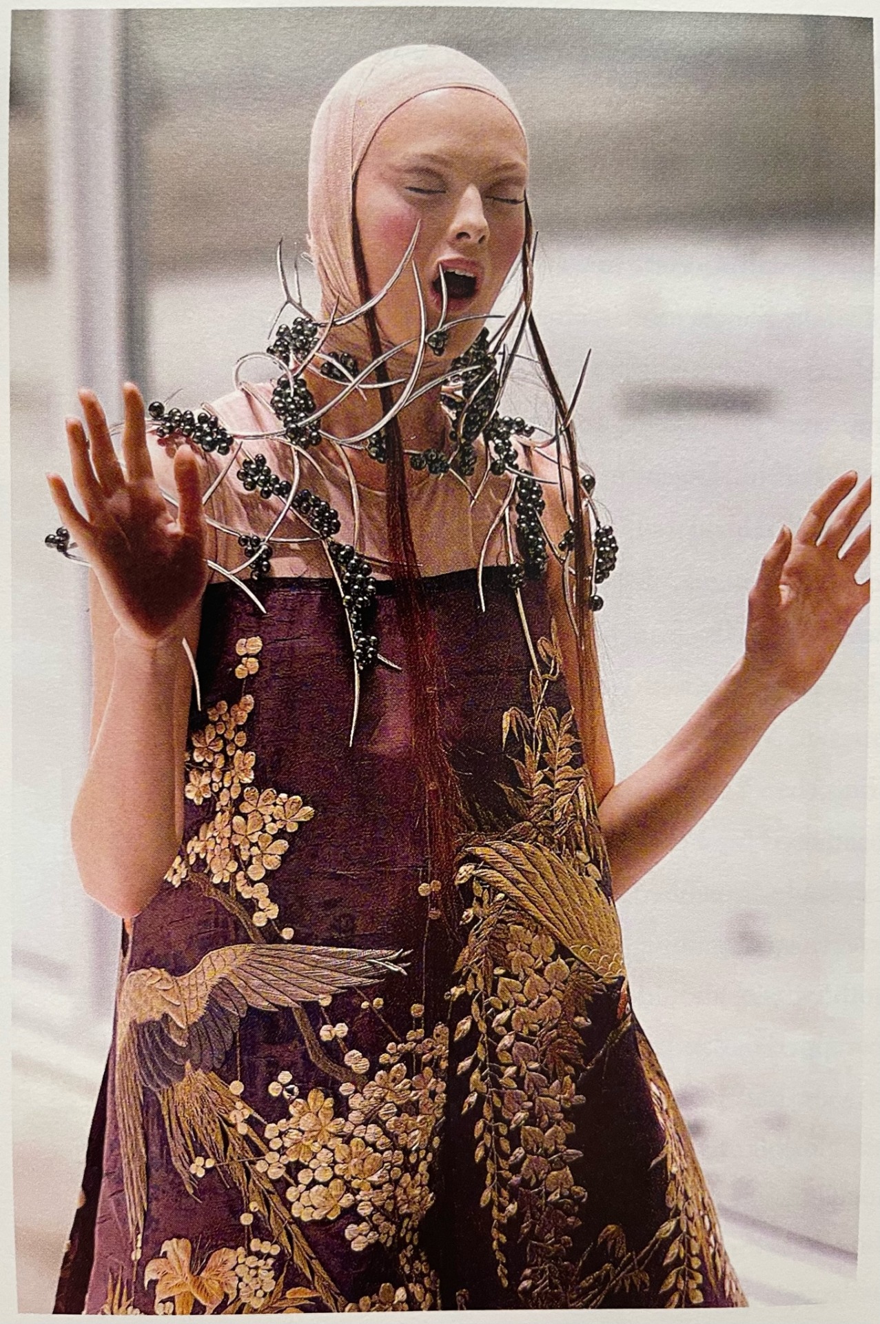Alexander McQueen spring summer 2001
