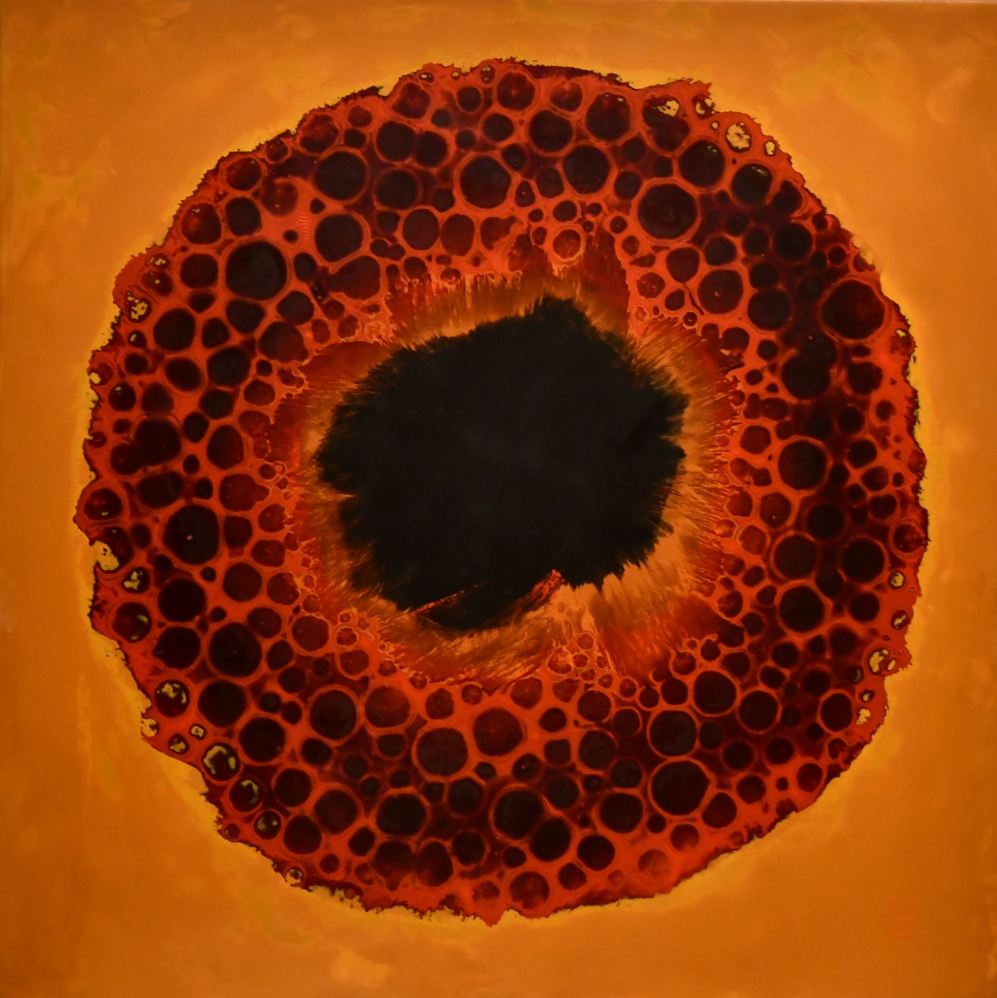 trien lam son mai duong dai duoi lop thoi gian