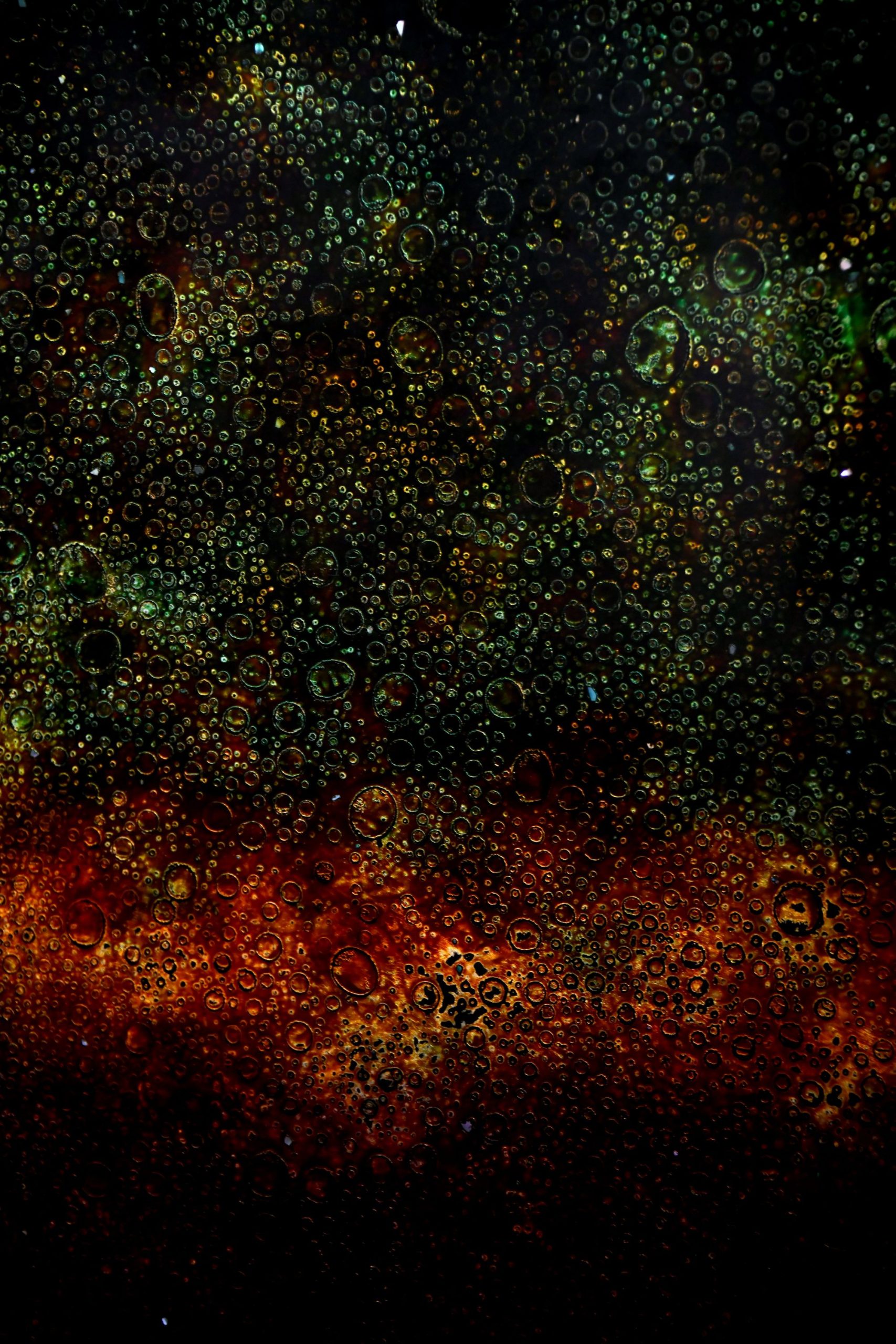 trien lam son mai duong dai nguyen xuan luc duoi lop thoi gian