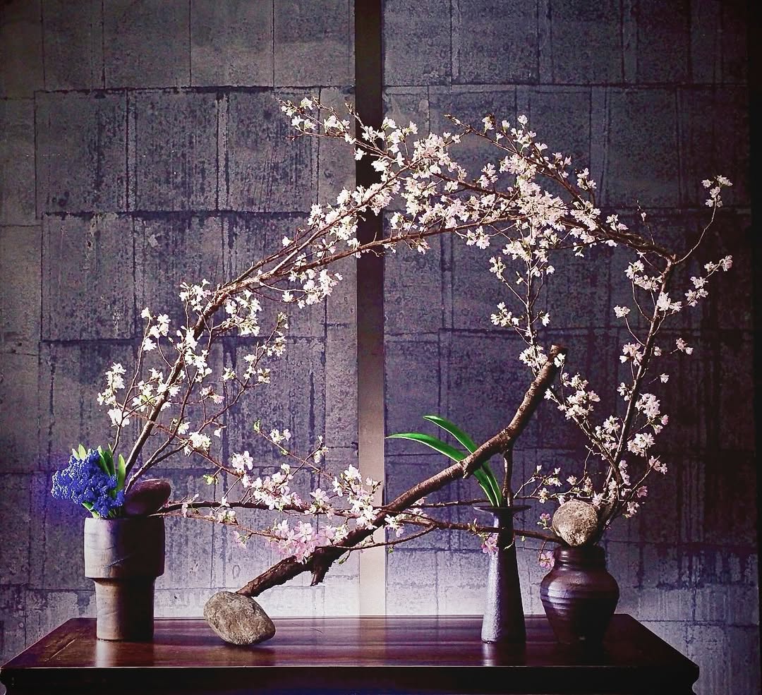 Keita Kawasaki sakura ikebana