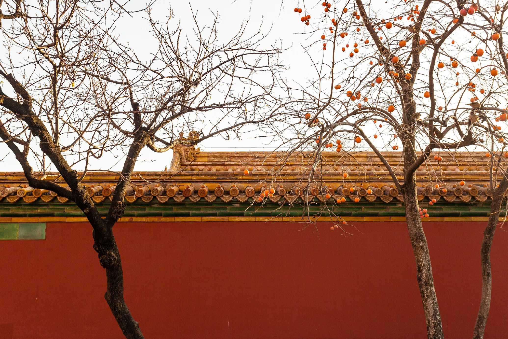 tu cam thanh forbidden city trung quoc bac kinh ngoi luu ly