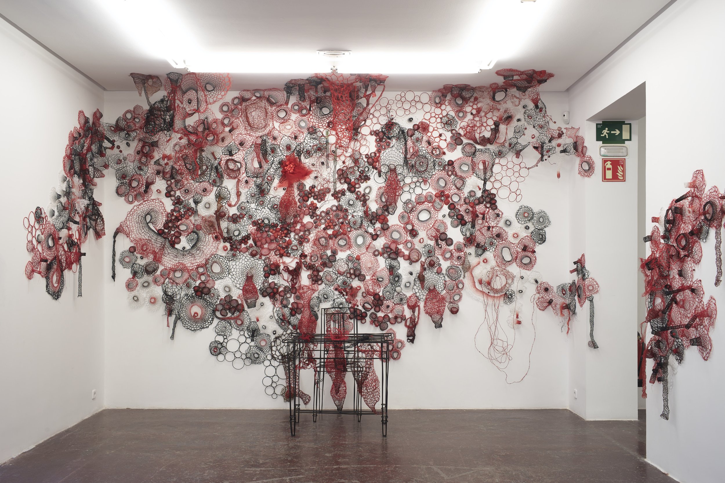 than thoai bac au odin thor loki hoa tiet nut that knots Albrecht Dürer