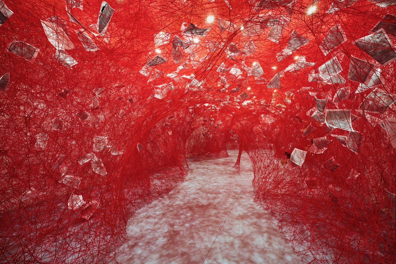 than thoai Nordic odin thor loki hoa tiet nut that knots Albrecht Dürer