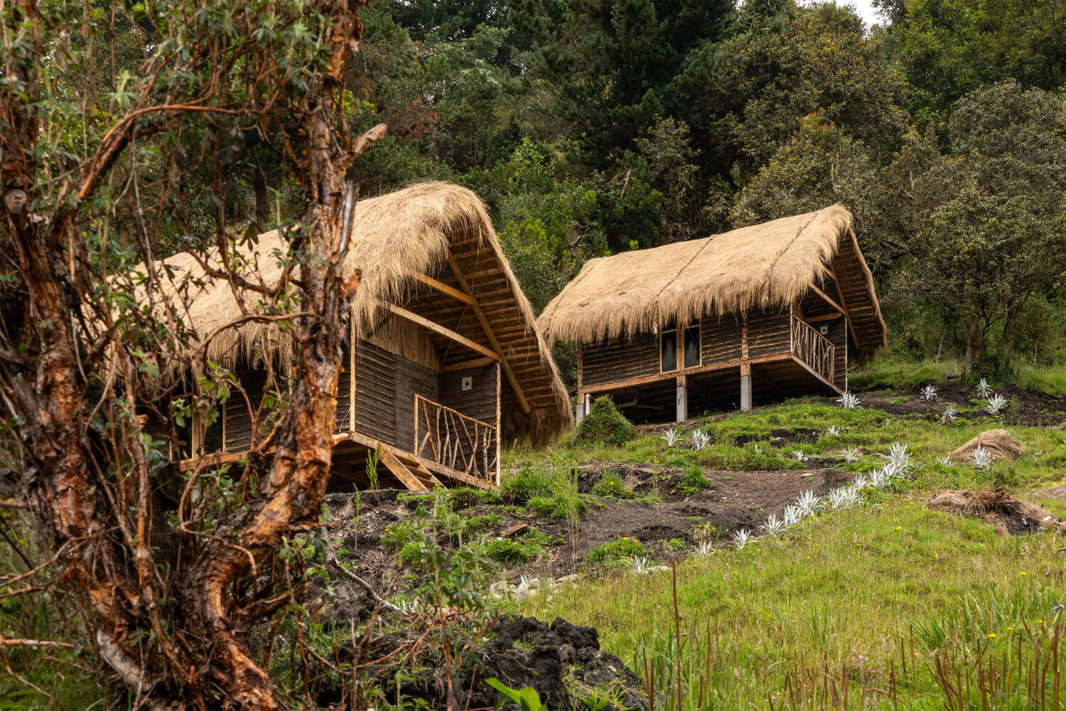 La Bocatoma Housing Modules Cubbil Studio kien truc ben vung nha duong dai
