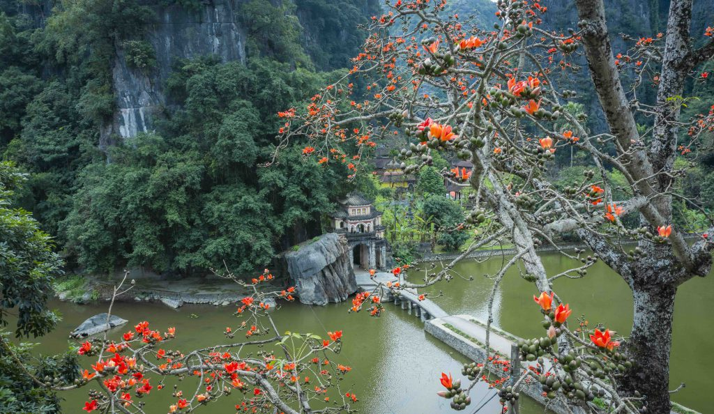co do ninh binh