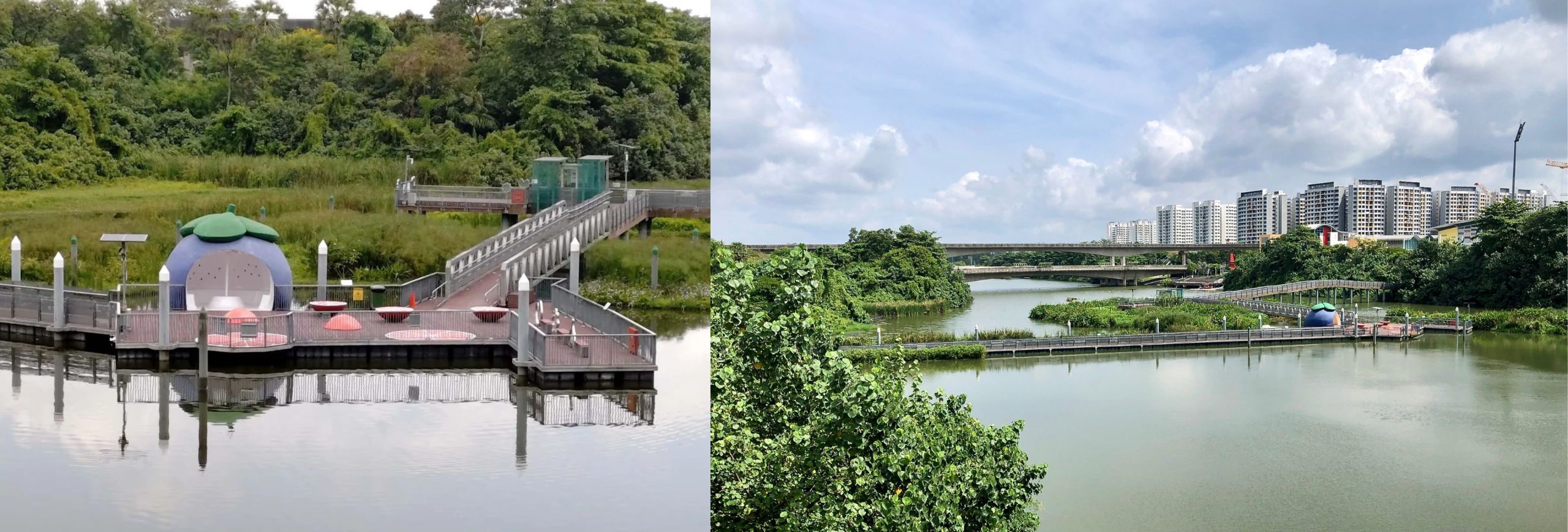 sponge city Kongjian Yu Benjakitti Turenscape Arsomsilp Community and Environmental Architect Lujiatan MUDA-Architects Sengkang Floating Wetland Yanweizhou Qunli Park Benthemplein Watersquare